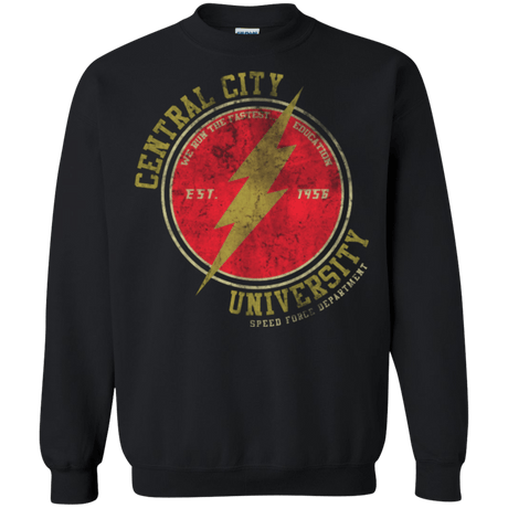 Sweatshirts Black / Small Central City U Crewneck Sweatshirt