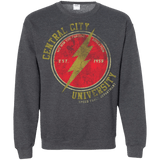 Sweatshirts Dark Heather / Small Central City U Crewneck Sweatshirt
