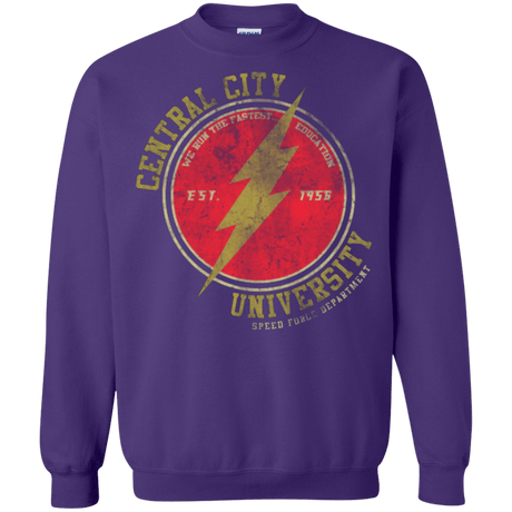 Sweatshirts Purple / Small Central City U Crewneck Sweatshirt