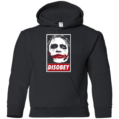 Sweatshirts Black / YS Chaos and Disobey Youth Hoodie