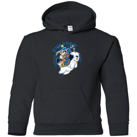 Sweatshirts Black / YS Charge Youth Hoodie