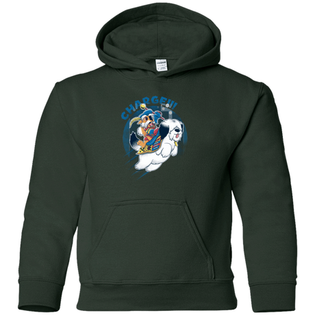 Sweatshirts Forest Green / YS Charge Youth Hoodie