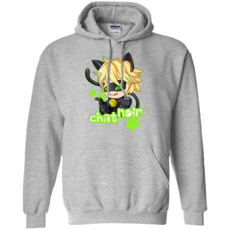 Sweatshirts Sport Grey / Small Chat Noir Pullover Hoodie