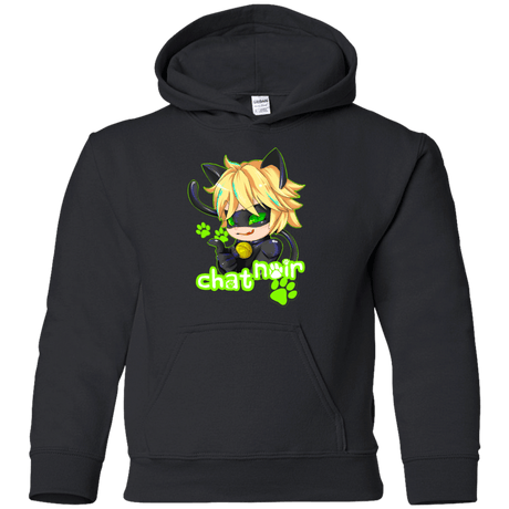 Sweatshirts Black / YS Chat Noir Youth Hoodie