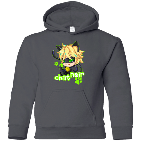 Sweatshirts Charcoal / YS Chat Noir Youth Hoodie