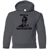 Sweatshirts Charcoal / YS Chemichangas Youth Hoodie