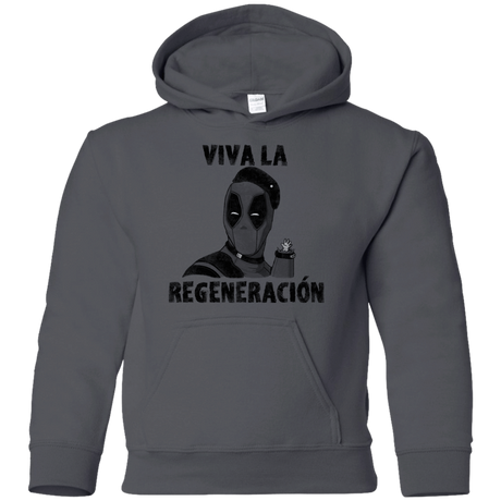 Sweatshirts Charcoal / YS Chemichangas Youth Hoodie