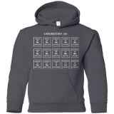 Sweatshirts Charcoal / YS Chemistry Lesson Youth Hoodie