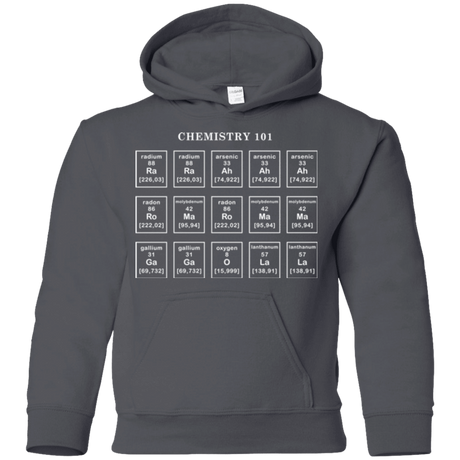 Sweatshirts Charcoal / YS Chemistry Lesson Youth Hoodie