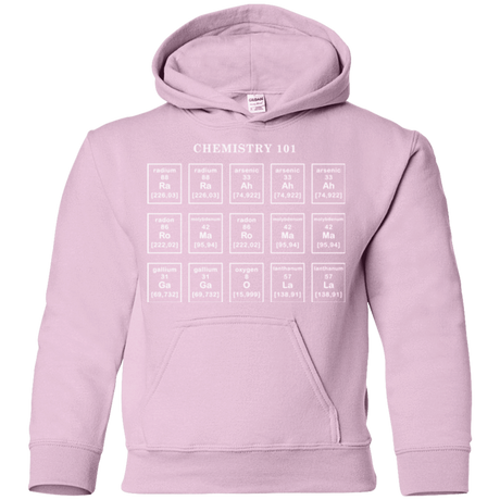 Sweatshirts Light Pink / YS Chemistry Lesson Youth Hoodie