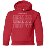 Sweatshirts Red / YS Chemistry Lesson Youth Hoodie