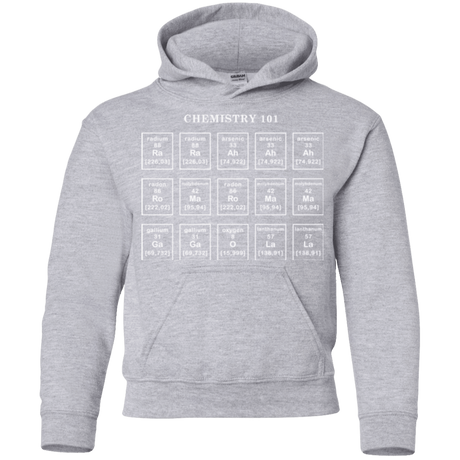 Sweatshirts Sport Grey / YS Chemistry Lesson Youth Hoodie