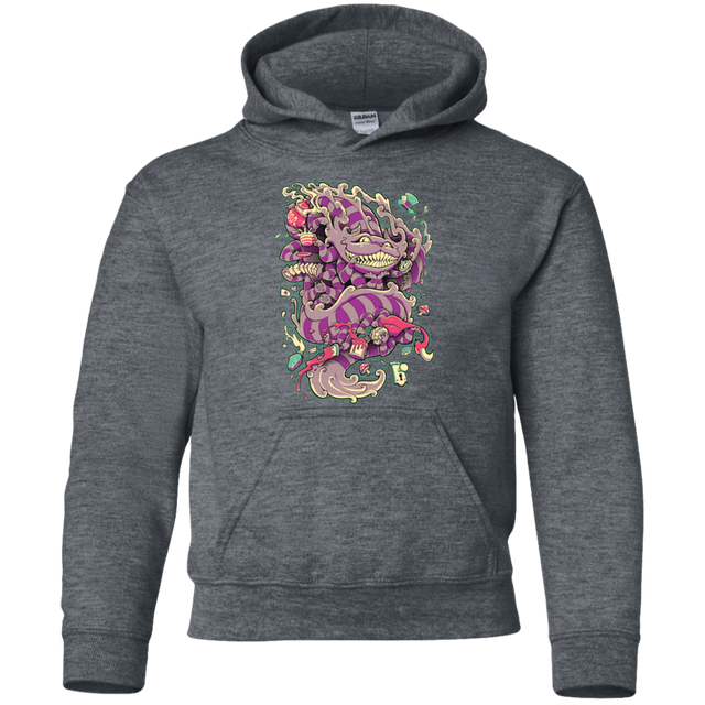 Sweatshirts Dark Heather / YS Cheshire Dragon Youth Hoodie