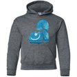 Sweatshirts Dark Heather / YS Cheshire Portrait Youth Hoodie