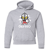 Sweatshirts Sport Grey / YS ChibiUltra Youth Hoodie
