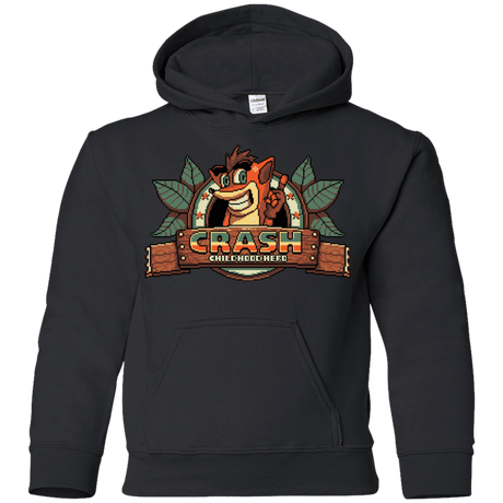Sweatshirts Black / YS Childhood hero Youth Hoodie