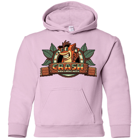 Sweatshirts Light Pink / YS Childhood hero Youth Hoodie
