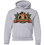 Sweatshirts Sport Grey / YS Childhood hero Youth Hoodie