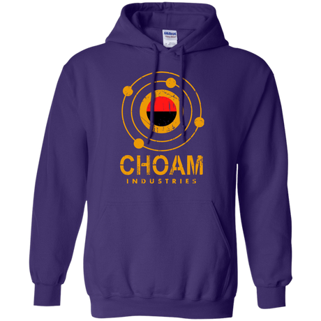 Sweatshirts Purple / Small Choam Pullover Hoodie