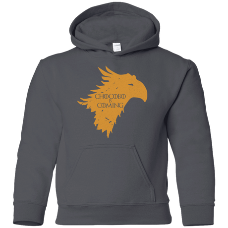 Sweatshirts Charcoal / YS Chocobo is Coming Youth Hoodie