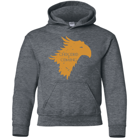 Sweatshirts Dark Heather / YS Chocobo is Coming Youth Hoodie