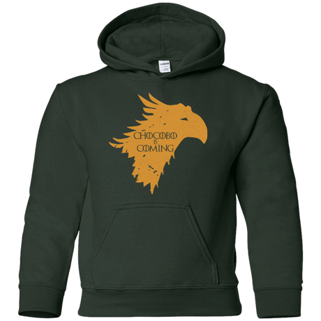 Sweatshirts Forest Green / YS Chocobo is Coming Youth Hoodie