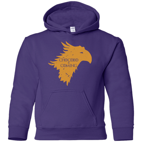 Sweatshirts Purple / YS Chocobo is Coming Youth Hoodie