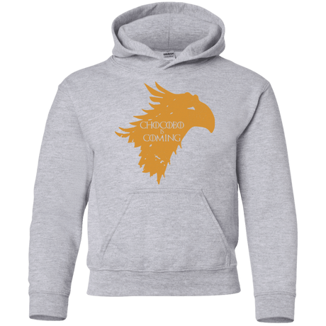 Sweatshirts Sport Grey / YS Chocobo is Coming Youth Hoodie