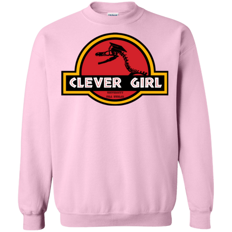 Sweatshirts Light Pink / Small Clever Girl Crewneck Sweatshirt