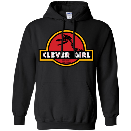 Sweatshirts Black / Small Clever Girl Pullover Hoodie