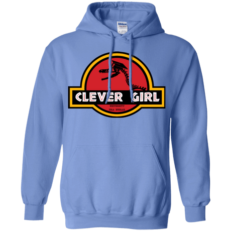 Sweatshirts Carolina Blue / Small Clever Girl Pullover Hoodie