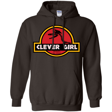 Sweatshirts Dark Chocolate / Small Clever Girl Pullover Hoodie