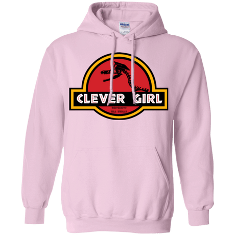 Sweatshirts Light Pink / Small Clever Girl Pullover Hoodie