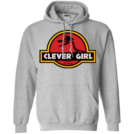 Sweatshirts Sport Grey / Small Clever Girl Pullover Hoodie