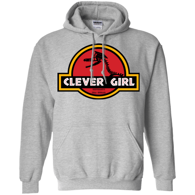 Sweatshirts Sport Grey / Small Clever Girl Pullover Hoodie