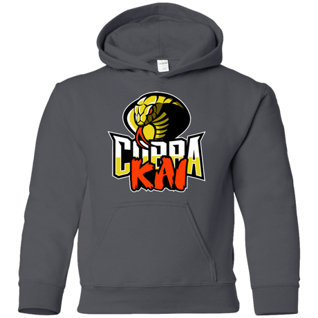 Sweatshirts Charcoal / YS COBRA KAI Youth Hoodie