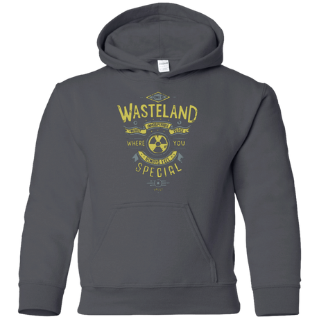 Sweatshirts Charcoal / YS Come to wasteland Youth Hoodie
