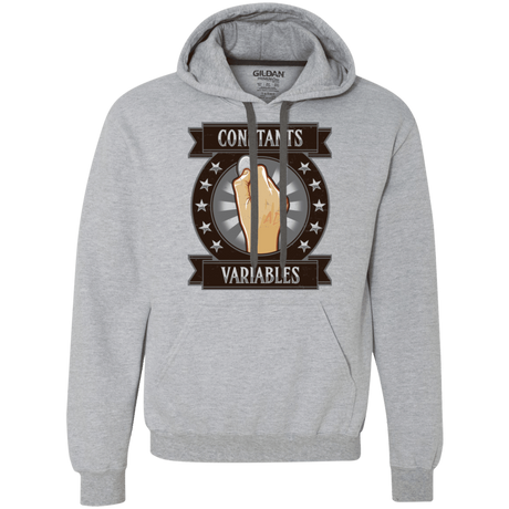 Sweatshirts Sport Grey / Small CONSTANTS AND VARIABLES Premium Fleece Hoodie