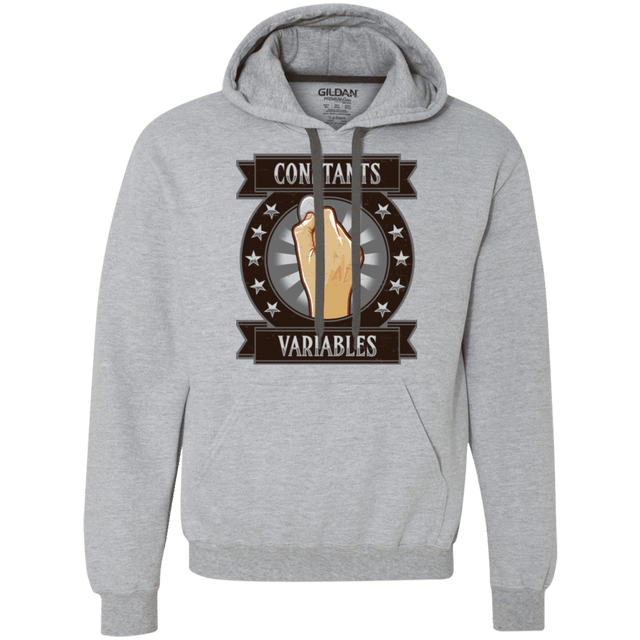 Sweatshirts Sport Grey / Small CONSTANTS AND VARIABLES Premium Fleece Hoodie