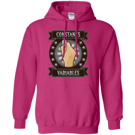 Sweatshirts Heliconia / Small CONSTANTS AND VARIABLES Pullover Hoodie