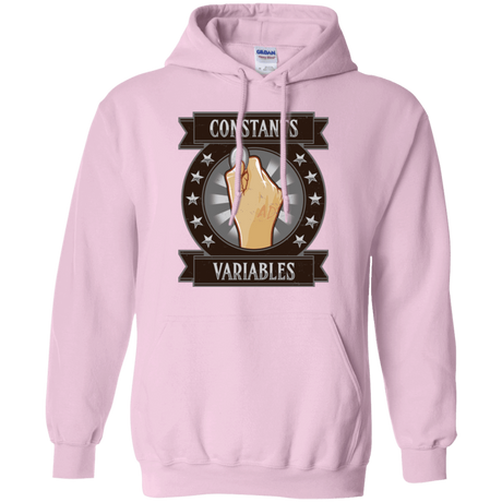 Sweatshirts Light Pink / Small CONSTANTS AND VARIABLES Pullover Hoodie