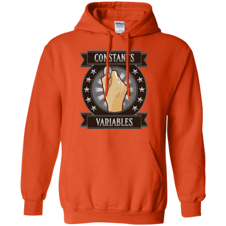 Sweatshirts Orange / Small CONSTANTS AND VARIABLES Pullover Hoodie