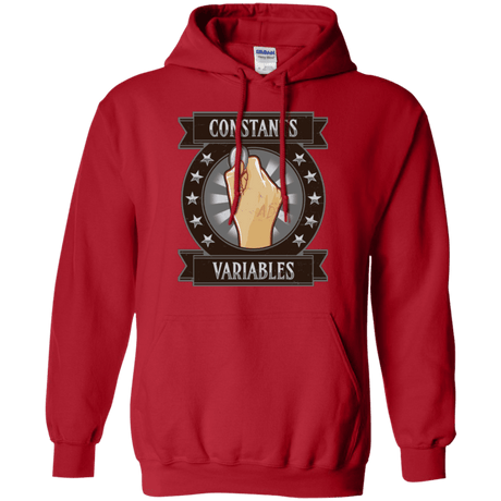 Sweatshirts Red / Small CONSTANTS AND VARIABLES Pullover Hoodie