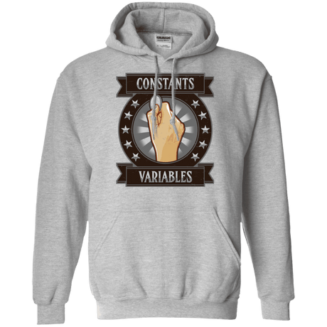 Sweatshirts Sport Grey / Small CONSTANTS AND VARIABLES Pullover Hoodie