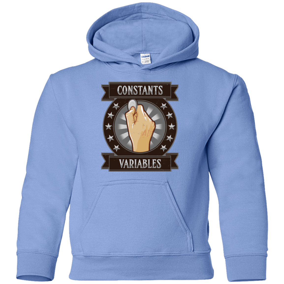 Sweatshirts Carolina Blue / YS CONSTANTS AND VARIABLES Youth Hoodie