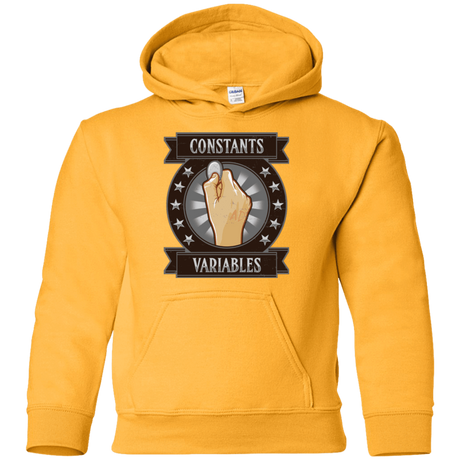 Sweatshirts Gold / YS CONSTANTS AND VARIABLES Youth Hoodie