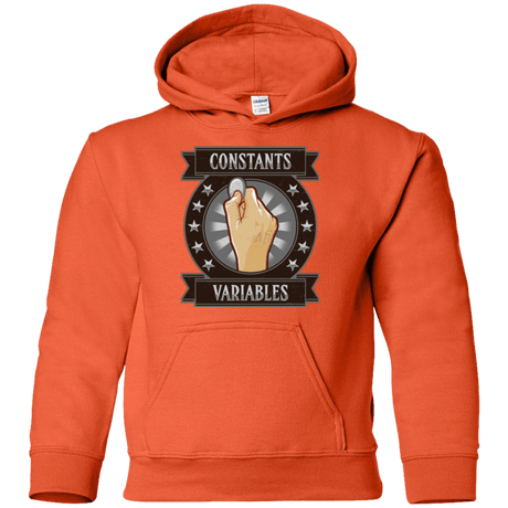 Sweatshirts Orange / YS CONSTANTS AND VARIABLES Youth Hoodie