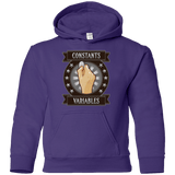 Sweatshirts Purple / YS CONSTANTS AND VARIABLES Youth Hoodie