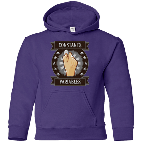 Sweatshirts Purple / YS CONSTANTS AND VARIABLES Youth Hoodie