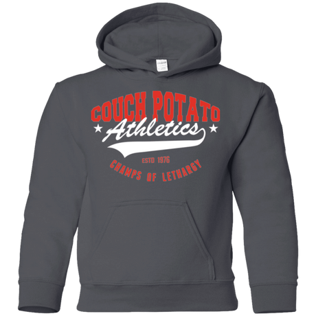 Sweatshirts Charcoal / YS Couch Potato Youth Hoodie